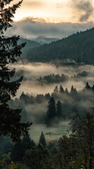 Forest trees and clouds in the mountain valley landscape