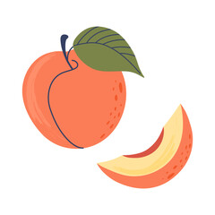 Peach. Sweet Summer fruit with slice and leaf isolated on transparent background. Hand drawn flat design vector illustration.
