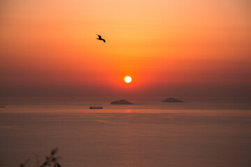 Sunset over the sea with a view of islands and coastal cliffs, framed by trees