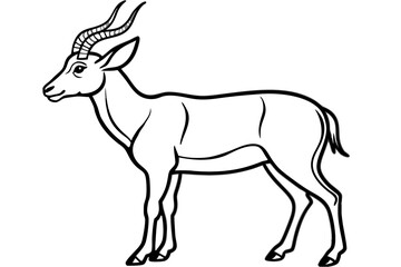 Wild Markhor Vector