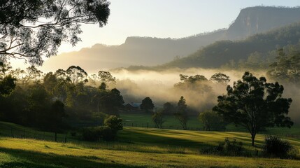 A beautiful and serene landscape scene with natural foggy ambiance