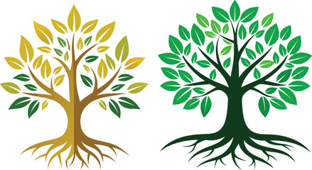 Obraz premium Branches of beautiful trees with green leaves outdoors, bottom view