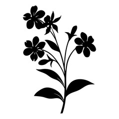 Silhouette of a graceful floral branch with delicate flowers and leaves