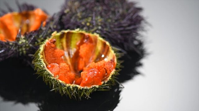 Sea Urchin with caviar close-up, on black background. Fresh open sea urchins with ice, ready to eat. Border design, delicatessen food. Traditional Mediterranean food. Roe. Sea food 