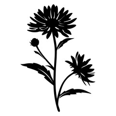 Elegant Black Silhouette of Two Blooming Flowers and Bud on a Single Stem with Leaves