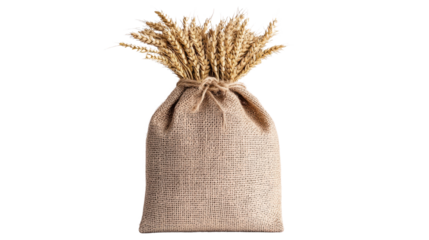 Burlap Sack Containing Wheat Sheaves on a White Background