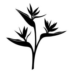 Elegant Black Silhouette of Bird of Paradise Flowers Tropical Plant Illustration