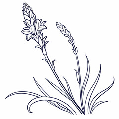 Naklejka premium black and white flowers