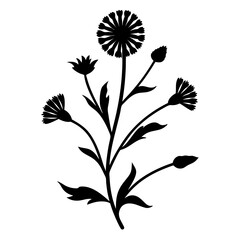 Elegant Black Silhouette of a Blooming Flower Branch with Multiple Flowers and Buds