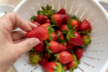 Hand holding fresh ripe strawberries on a blurred background of strawberries in a white colander. Fresh seasonal berries. Food hygiene.