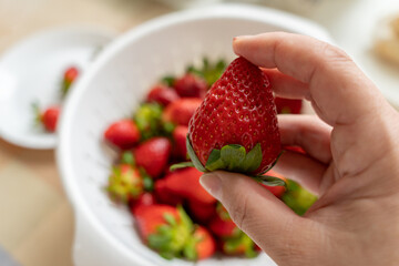 Hand holding fresh ripe strawberries on blurred background of strawberries in white colander. Healthy eating. Fresh seasonal berries.