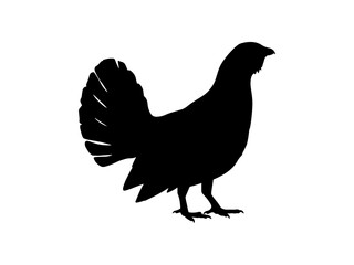 Grouse silhouette vector flat illustration design.