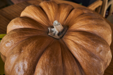 Una calabaza sobre una silla
