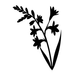 Elegant Black Silhouette of a Blooming Flower Branch with Multiple Petals