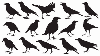 Caw silhouette vector set