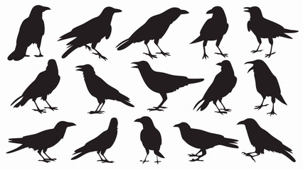 Caw silhouette vector set