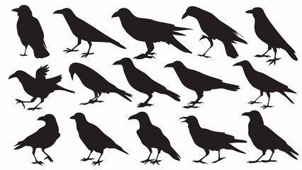 Caw silhouette vector set