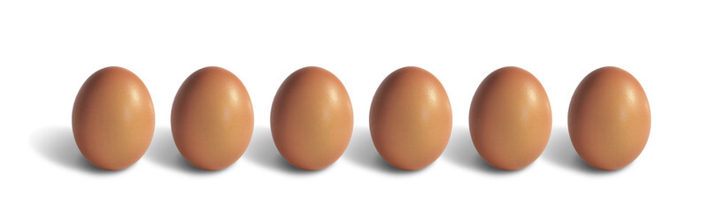 Ein dutzend braune Eier in einer Reihe, freistehend, transparent ohne Hintergrund 