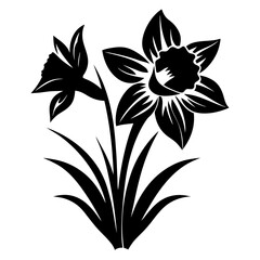 Elegant Black and White Daffodil Flower Illustration with Detailed Petals and Leaves
