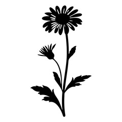 Elegant Black Silhouette of a Single Daisy Flower with Bud and Leaves Botanical Illustration