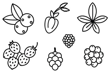 Wild Berry Enchantment A Journey to Fruity Paradise