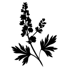 Silhouette of a Blooming Flower with Lush Green Leaves Botanical Illustration