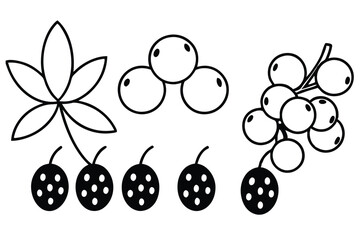 Fototapeta premium Wild Berry Flavor Dancing on Your Tongue