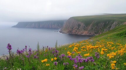 Coastal wildflowers bloom, cliff backdrop, foggy sea