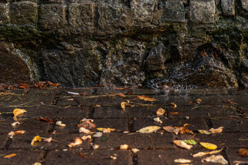 Wet stone wall and brick pavement with fallen autumn leaves and rainwater splashes after rainfall.
