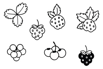 Wild Berry Magic in Every Vibrant Bite