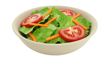 Isolated Bowl of Salad