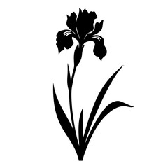 Black and white illustration of iris , flower silhouette vector designs.