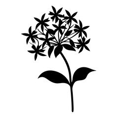 Black and white illustration of ixora , flower silhouette vector designs.