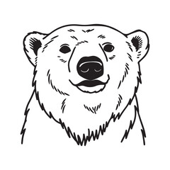 Polar Bear – Survival in the Frozen Wilderness