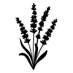 Black and white illustration of lavender , flower silhouette vector designs.