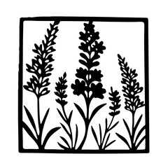 Black and white illustration of lavender , flower silhouette vector designs.