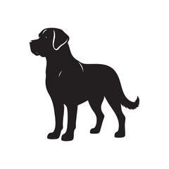 Vector silhouette of a  Labrador Retriever , Dog illustration, Dog art, Dog drawing, Pet Animal Silhouette