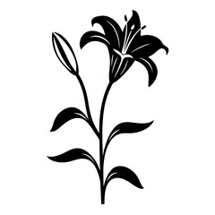 Black and white illustration of lily , flower silhouette vector designs.