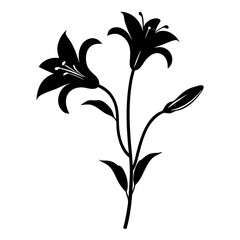 Black and white illustration of lily , flower silhouette vector designs.