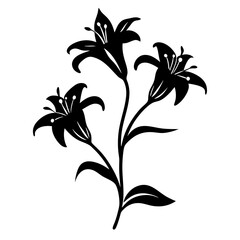 Black and white illustration of lily , flower silhouette vector designs.