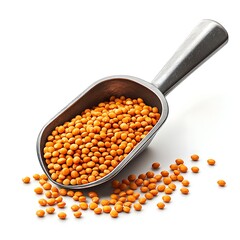 Lentils in Scoop: A detailed depiction showcases a scoop overflowing with vibrant orange lentils, a nutritious culinary delight and a symbol of wholesome nourishment.