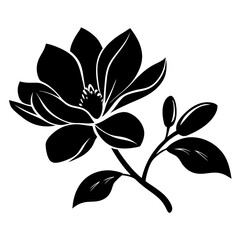 Black and white illustration of magnolia , flower silhouette vector designs.