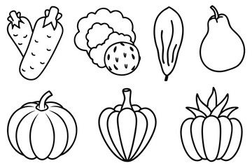 Various Vegetables Bringing Flavor to Every Meal