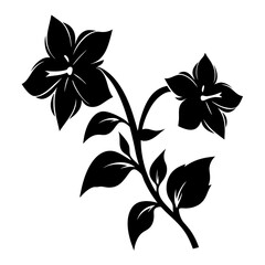 Black and white illustration of mandevilla , flower silhouette vector designs.