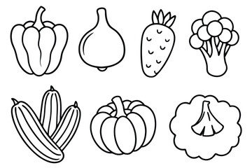 Various Vegetables For Freshness in Every Dish