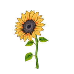 Sunflower new AI