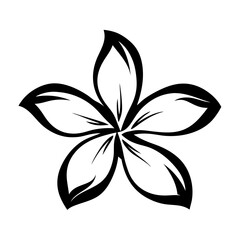 Black and white illustration of plumeria , flower silhouette vector designs.