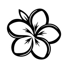 Black and white illustration of plumeria , flower silhouette vector designs.