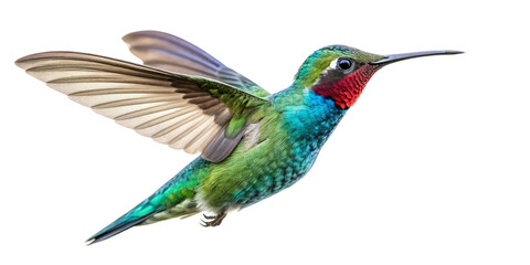 Obraz premium Vibrant Hummingbird in Flight, Isolated on Transparent Background, High-Resolution Image, Hummingbird, Bird, Tropical