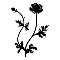 Black and white illustration of ranunculus , flower silhouette vector designs.